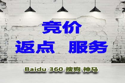 专业竞价SEM托管成功案例解析